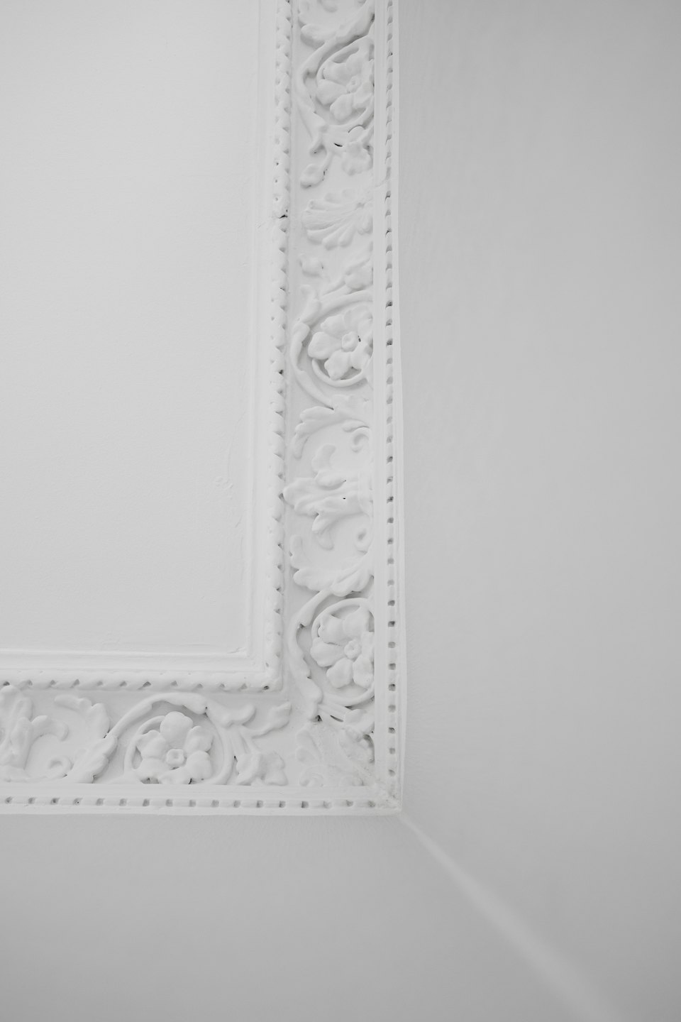 Intricate floral and leaf plaster molding on a ceiling corner.